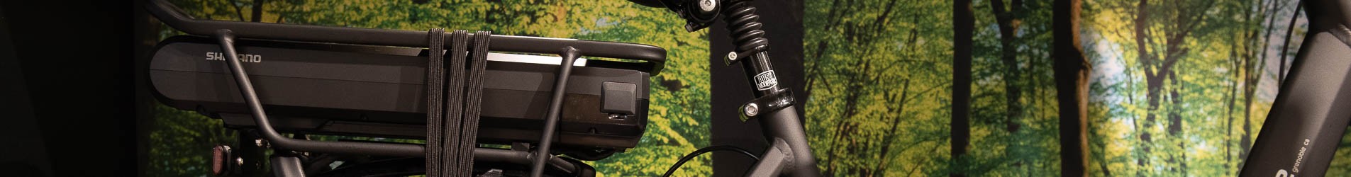 Nieuwe Elektrische fiets kopen? Voordelig & snel | Banierhuis.nl